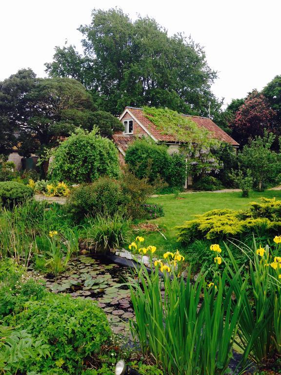 Octon Lodge Taunton Szoba fotó