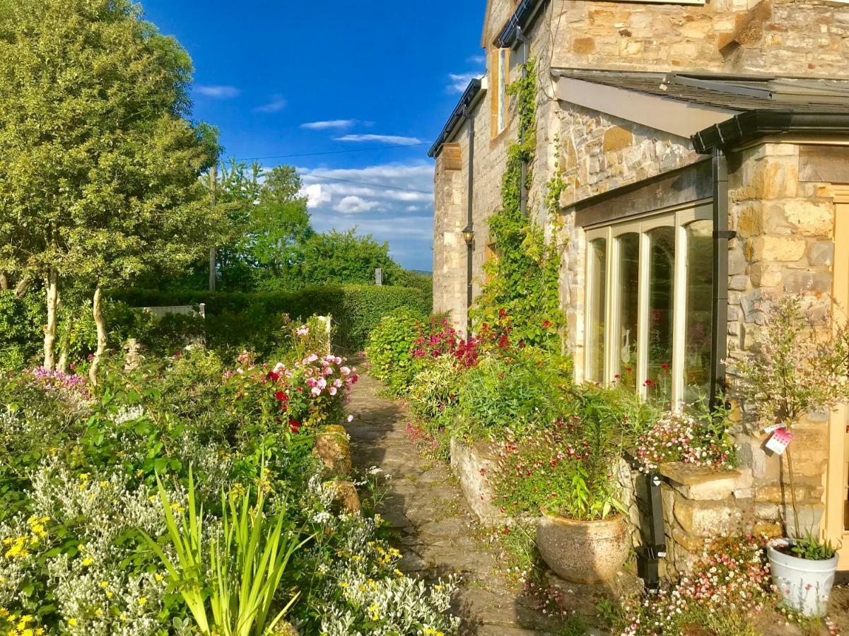 Octon Lodge Taunton Kültér fotó